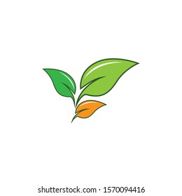 Leaf symbol vector icon illustration