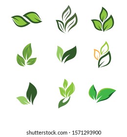 Leaf symbol vector icon illustration