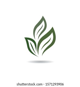 Leaf symbol vector icon illustration