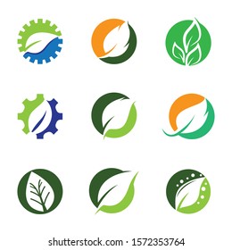 Leaf symbol vector icon illustration