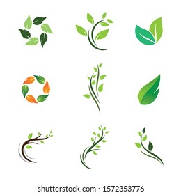 Leaf symbol vector icon illustration