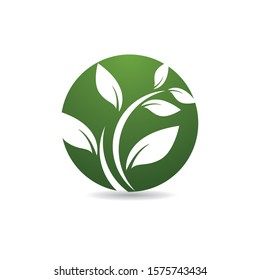Leaf symbol vector icon illustration