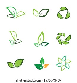 Leaf symbol vector icon illustration