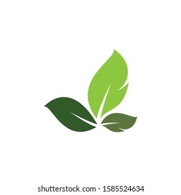 Leaf symbol vector icon illustration