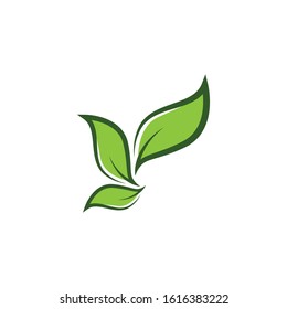 Leaf symbol vector icon illustration
