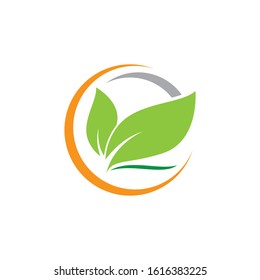 Leaf symbol vector icon illustration
