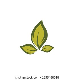 Leaf symbol vector icon illustration