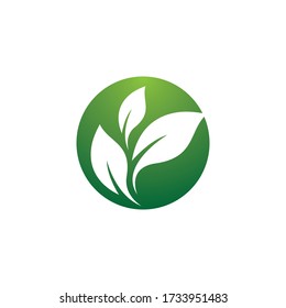 Darstellung von Leaf-Symbolen