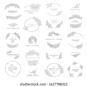 Leaf symbols, logos, icons and signs collection. Set of floral design elements.