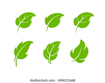 Leaf symbols set. Various shapes of green leaves of trees and plants isolated on white background. Vector graphic symbols for eco and bio logos. 