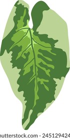leaf syngonium plant vector file