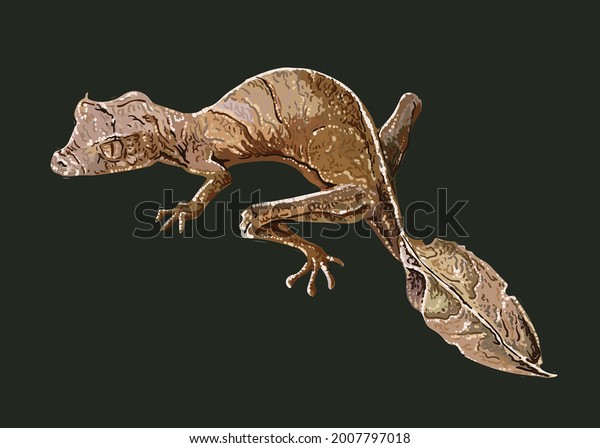leaf tailed gecko, art. illustration, exotic\
gecko, disguise, vector
