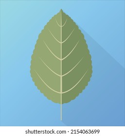 Leaf with a tapered corner. Flat abstract image