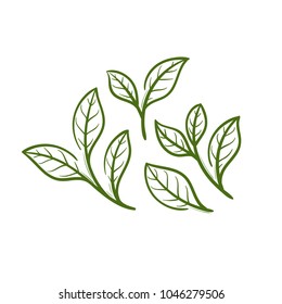 ilustración de té de hoja
