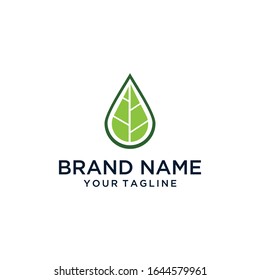 leaf template logo designs vector