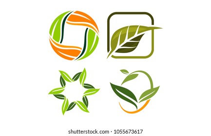 Leaf Template Vector Set