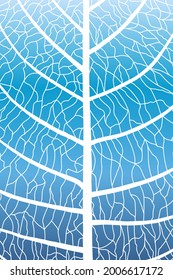 Leaf texture. Leaf background with veins. Macro leaf pattern. Abstract leaves. Nature vein. Organic skeleton. Natural tree. Simple design for painting print. Plant leaves lines. Vector illustration