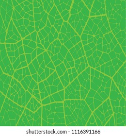 Leaf texture. Hand drawn green leaf vector texture background.
Floral and geometric background. Irregular abstract grid texture.