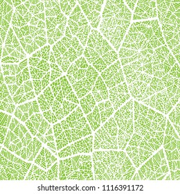 Leaf texture. Hand drawn green leaf vector texture background.
Floral and geometric background. Irregular abstract grid texture.
