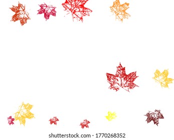 Leaf texture isolated. Falling red leaves for Canada Day 1st July. Cool tree foliage september background graphics.