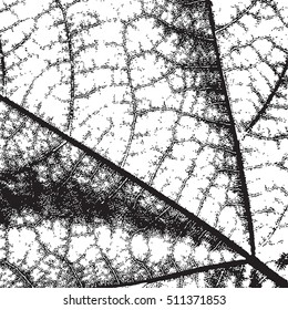 Leaf texture Overlay. Distress natural background. Empty design template. EPS10 vector.