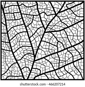 leaf texture, veins vector background design. Beautiful illustration ready to use