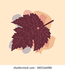 The leaf of theGrape Wine plant from tropical forests are isolated against a fall background. Can be used for greeting cards, flyers, invitations, web design, and everything