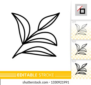 Leaf thin line icon. Plant banner in flat style. Branch poster. Linear pictogram. Simple illustration, outline symbol. Vector sign isolated on white. Editable stroke icons without fill