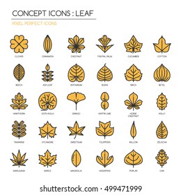 Leaf , thin line icons set ,pixel perfect icon