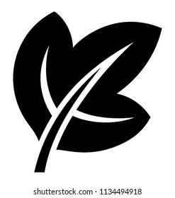 
Leaf with three corners where one vein is heading towards each corner 
