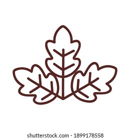 leaf with three leaves line style icon design of Plant natural floral theme Vector illustration