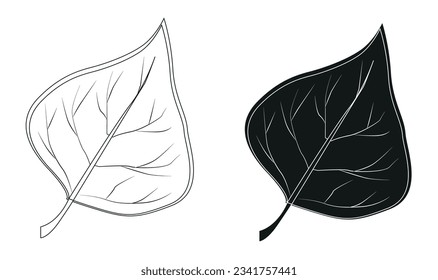 una hoja de un árbol en blanco y negro