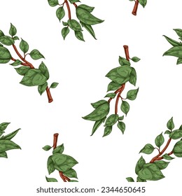 Leaf tree branches, seamless pattern. Leaves on twig, endless background design in retro vintage drawing style. Green foliage plant, repeating print, texture for fabric. Hand-drawn vector illustration