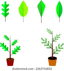 
Leaf with tree brunch, plant