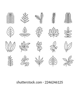 Leaf Of Tree, Bush Or Flower Icons Set Vector. Maple And Oak, Mango And Cherry, Eucalyptus And Walnut Natural Leaf. Botanical Foliage Plant And Herbarium Of Flora Black Contour Illustrations