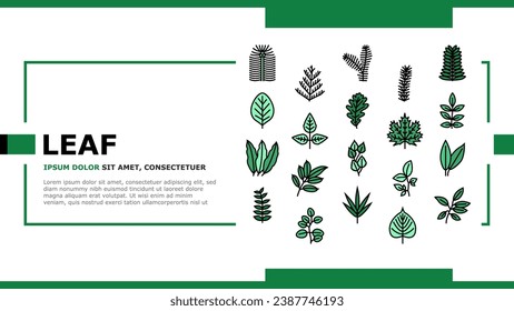 Hoja Del Vector De Páginas Web De Aterrizaje De Flores, De Arbol O De Arroyo. Maíz Y Ropa, Mango Y Cerezo, Eucalipto Y Hoja Natural De Nuez. Planta De Foliage Botánica Y Herbario De Ilustración De Flora