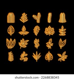 Leaf Of Tree, Bush Or Flower neon light sign vector. Maple And Oak, Mango And Cherry, Eucalyptus And Walnut Natural Leaf. Botanical Foliage Plant And Herbarium Of Flora Illustrations