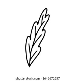 A leaf of a tree or flower is a hand-drawn drawing isolated on a white background.Black and white image.Flora and fauna.Floral design.Doodles.Vector illustration