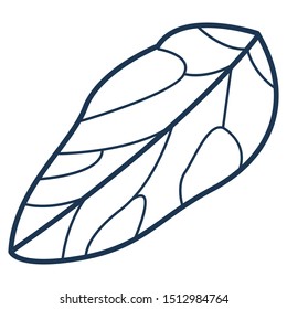 Leaf of tree or flower illustration in simple minimalist style. Vector outline icon or clip art. Ecological and environmental symbol. Elegant feminine element. Isolated monochromatic botanical object.