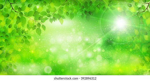 Leaf tree fresh green background
