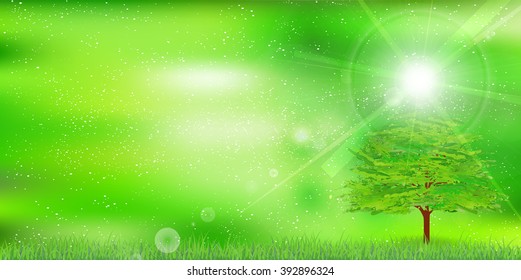 Leaf tree fresh green background