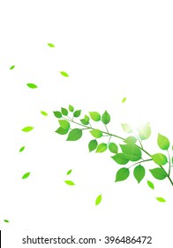 Leaf tree fresh green background