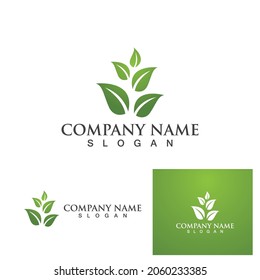 Leaf tree green logo and symbol vector