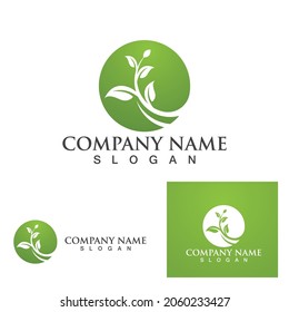 Leaf tree green logo and symbol vector
