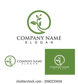 Leaf tree green logo and symbol vector