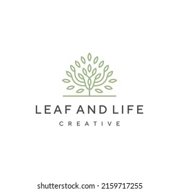plantilla de diseño del logotipo de crecimiento de árbol de hoja