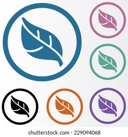 leaf of the tree icon