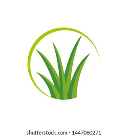 Leaf, tree, lawn, grass logo design template vector illustration