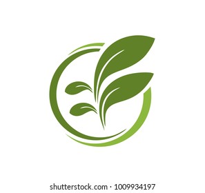 leaf tree logo