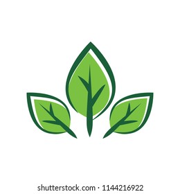 leaf tree logo